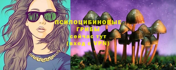 прущие крисы Алзамай
