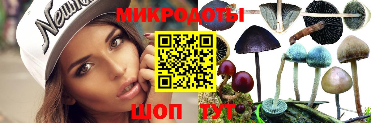 Мегион  Псилоцибиновые грибы ЛСД  Псилоцибиновые грибы ЛСД  Вход с VPN 